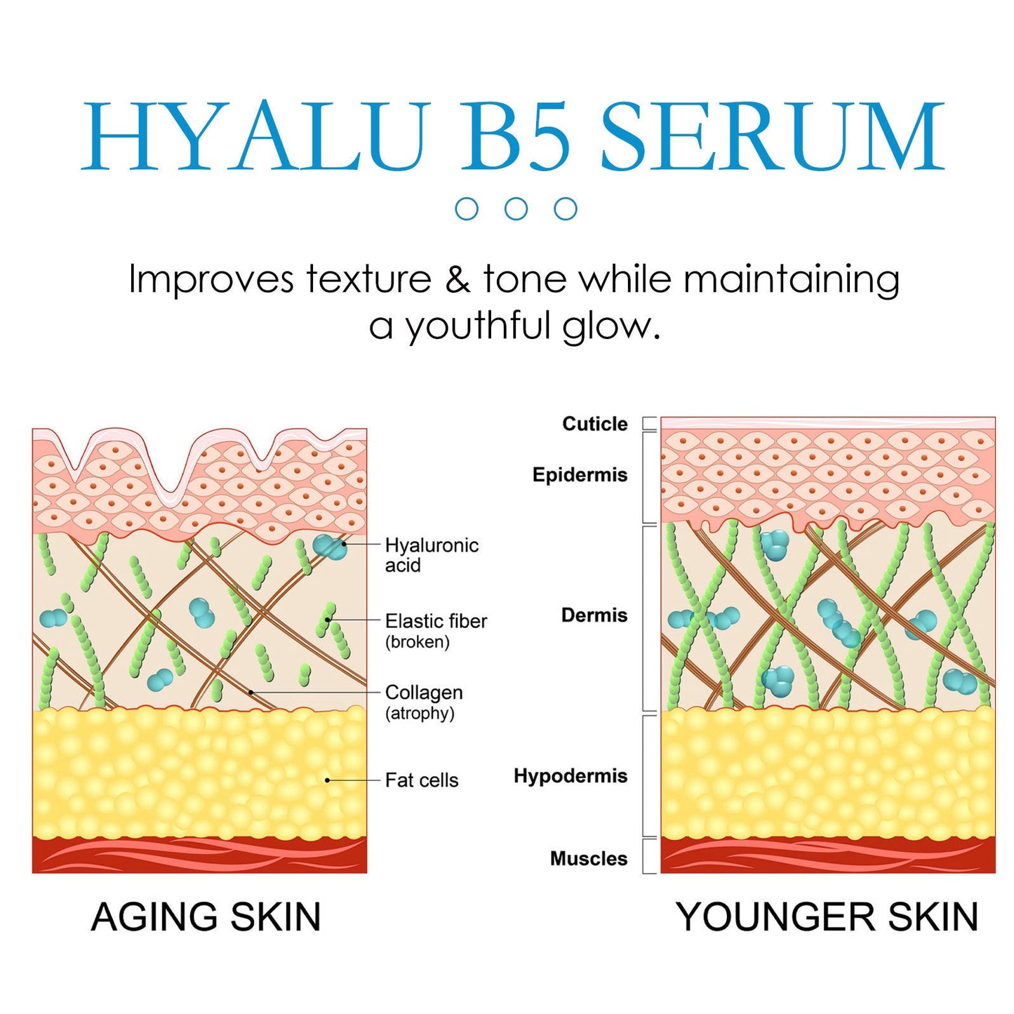 Youthful Glow Anti-Aging B5 Hydrating Cream: Unveil Plumper, Firmer, Dewy Skin