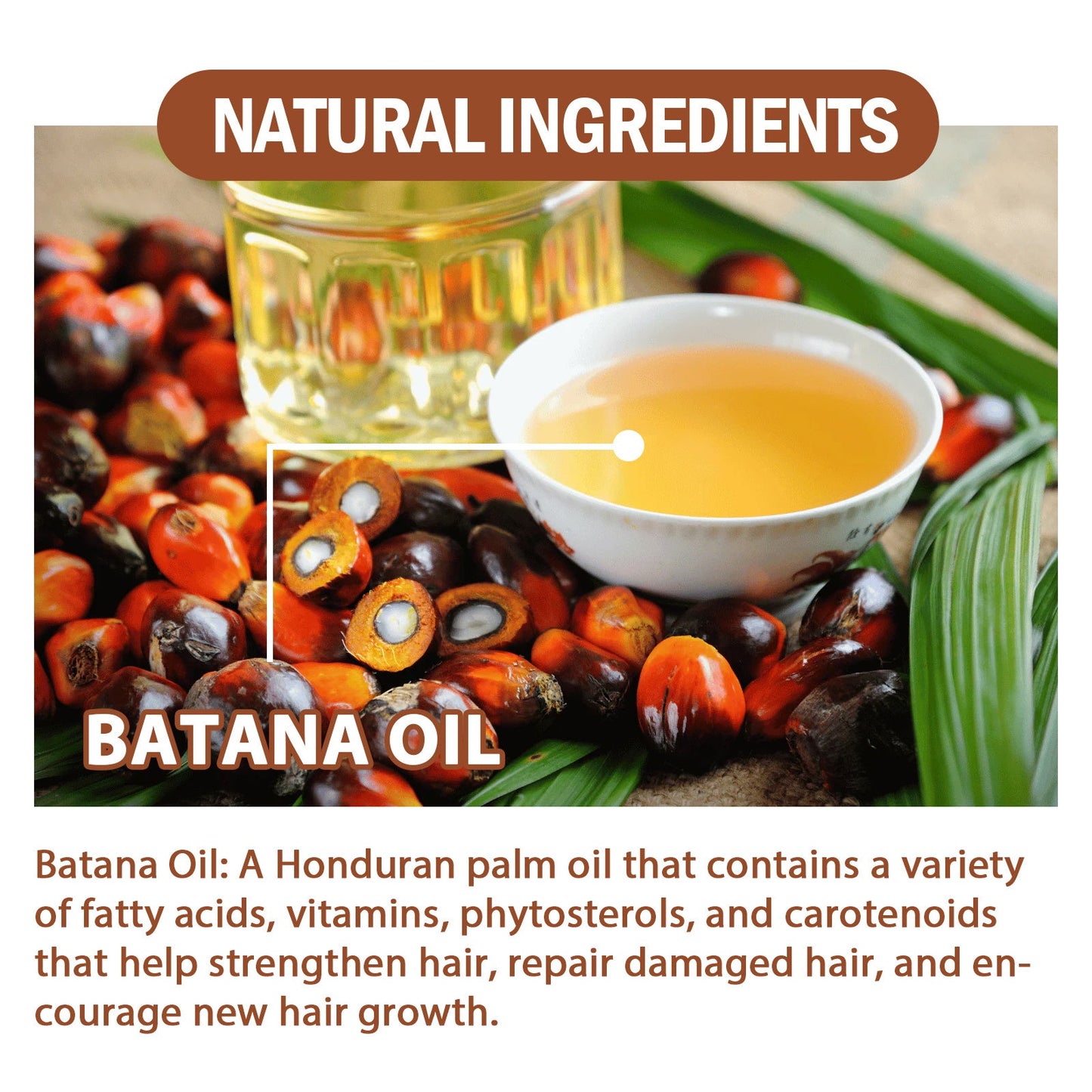 EELHOE Batana Oil Conditioner: The 2-Minute Miracle for Jungle-Strong, Silk-Soft Hair